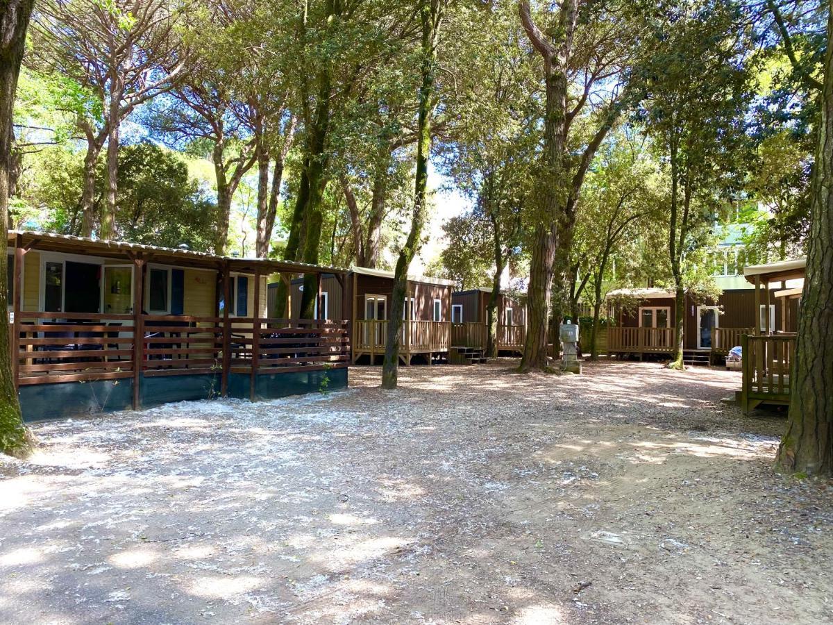 Dena Chalets - Lido Di Spina At The Beach Exterior foto