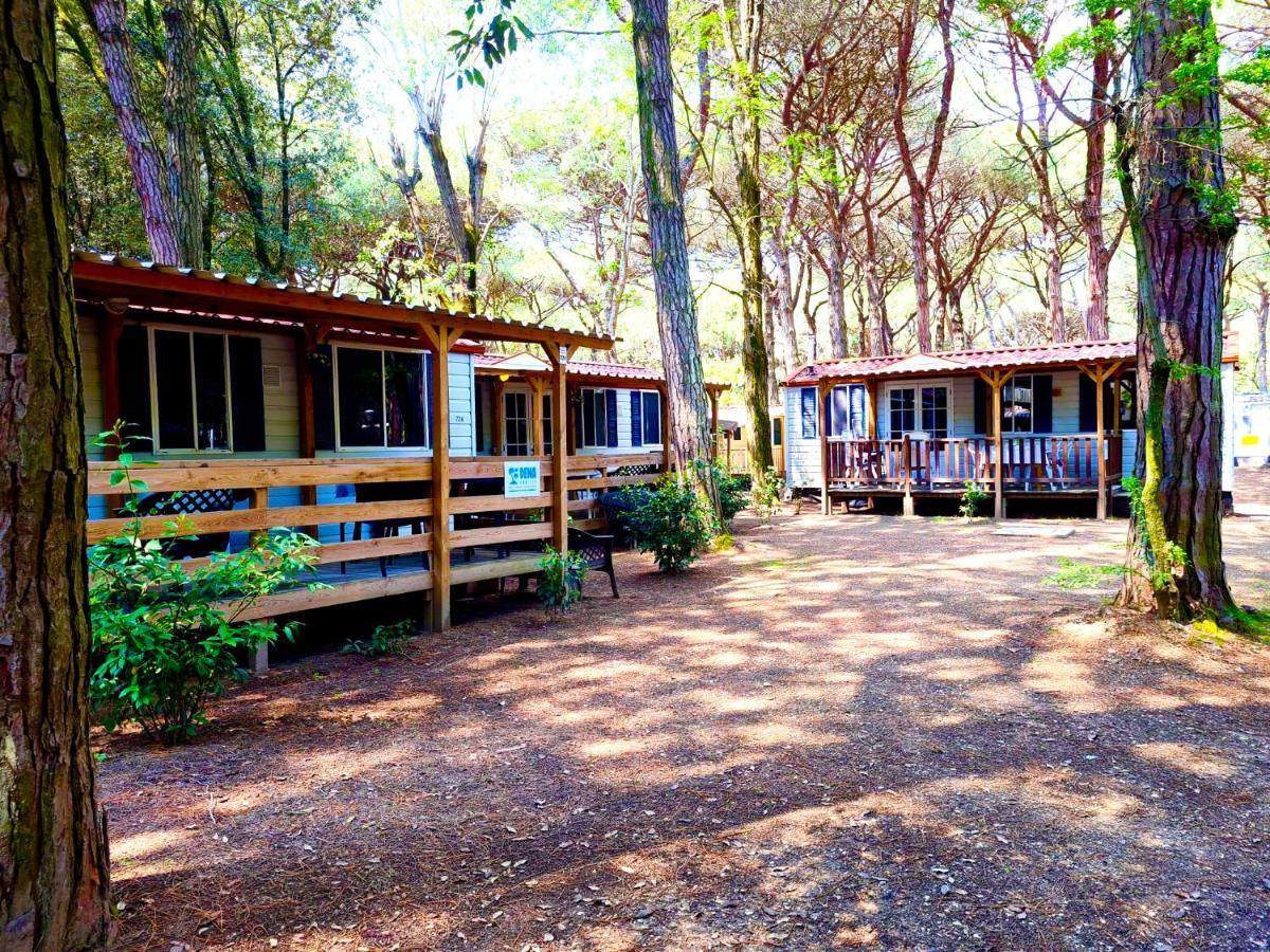 Dena Chalets - Lido Di Spina At The Beach Exterior foto